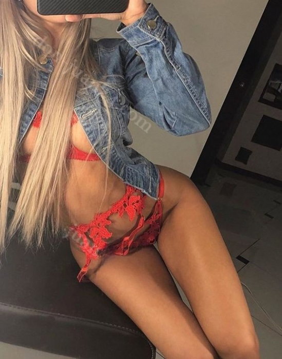 Rosa - photo