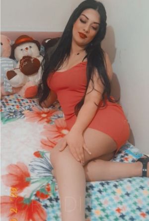 Mimo - foto 6