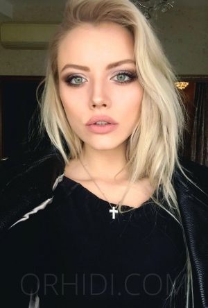 Seker - foto