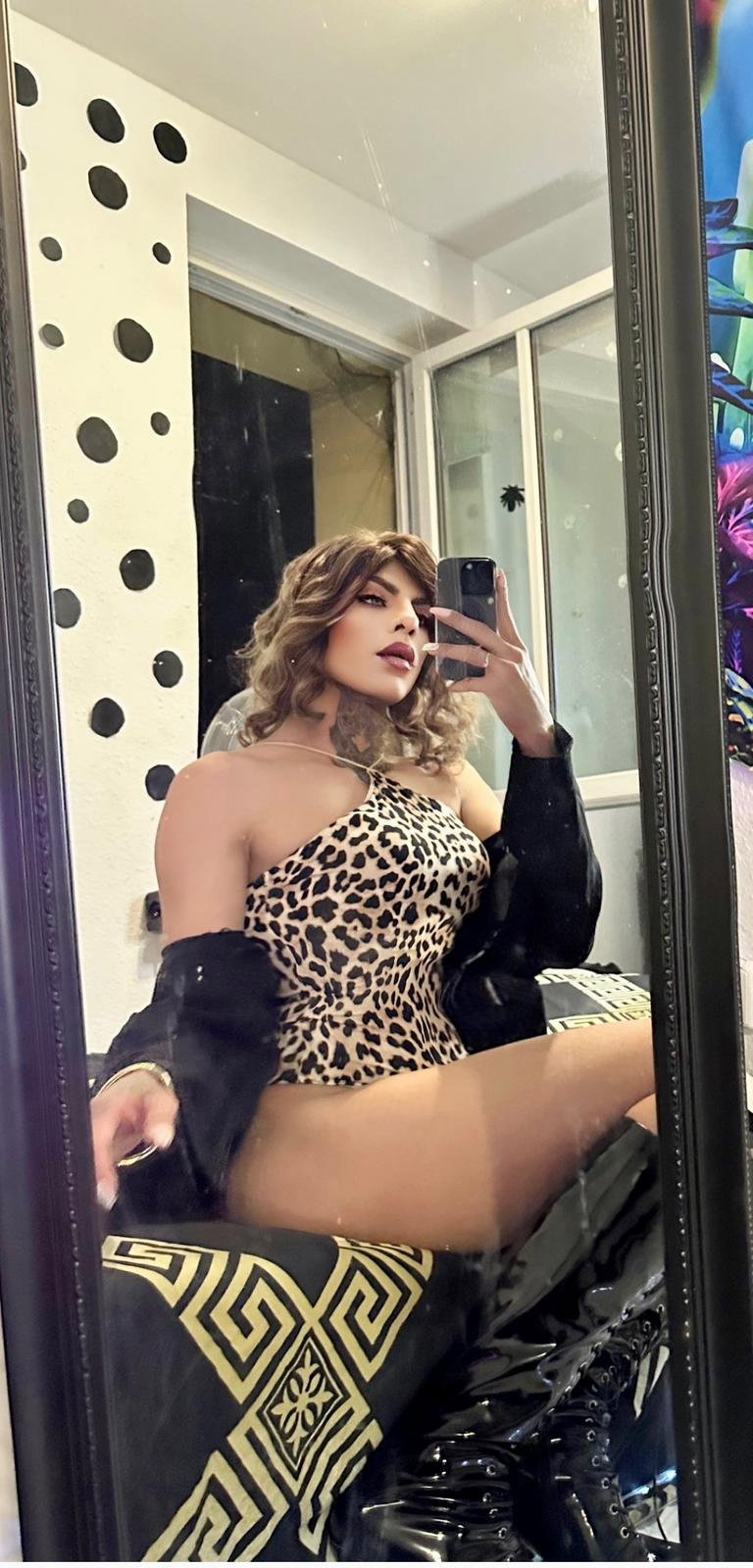 Trans Silvana1 - photo 10