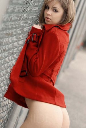 Phoebe - photo 9