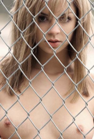 Phoebe - photo 10