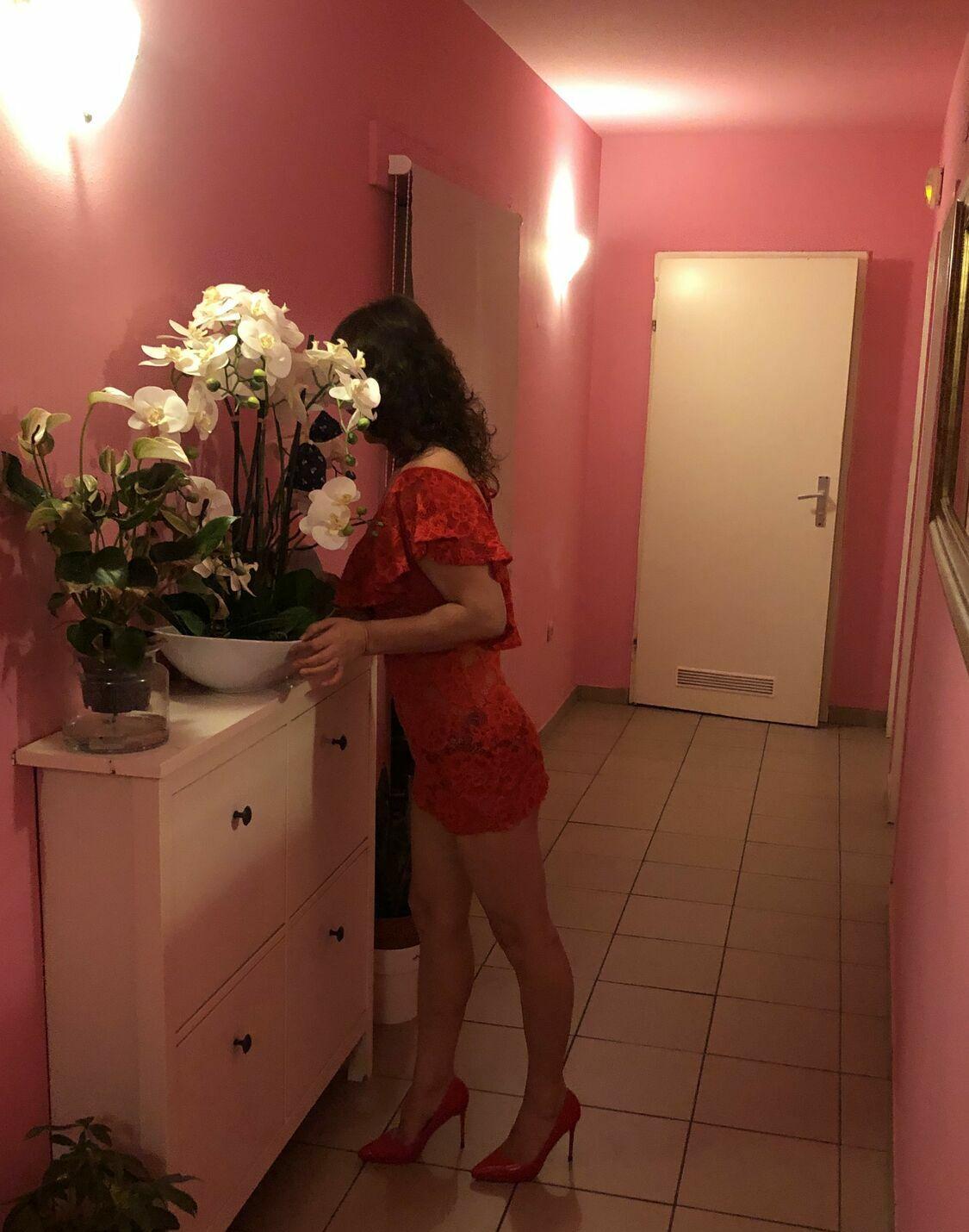 Vivi - photo 4