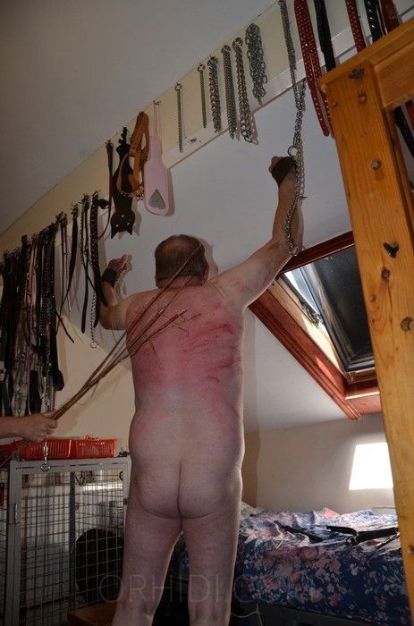Mistress Mary Jane - foto 18