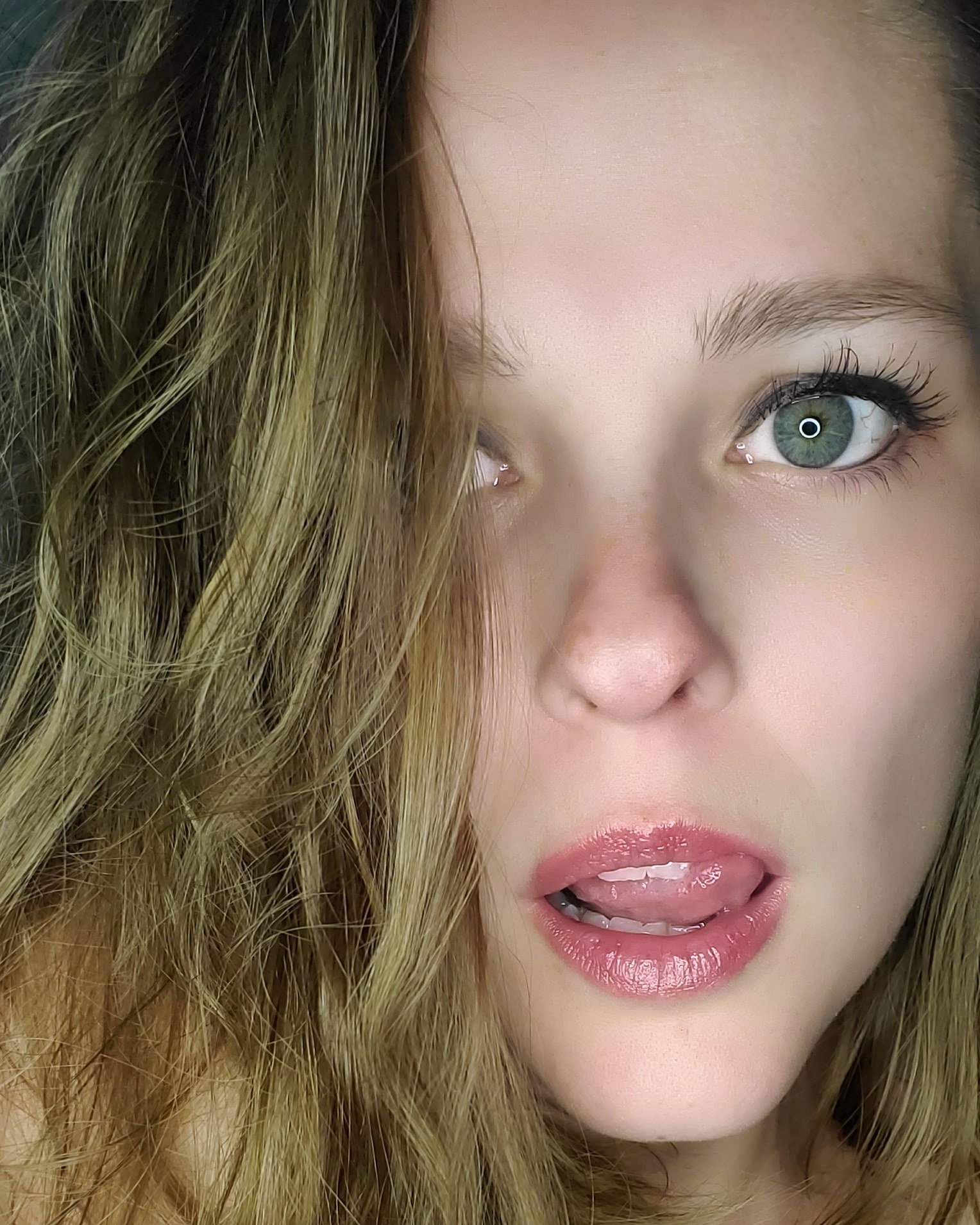 Abby - photo 6