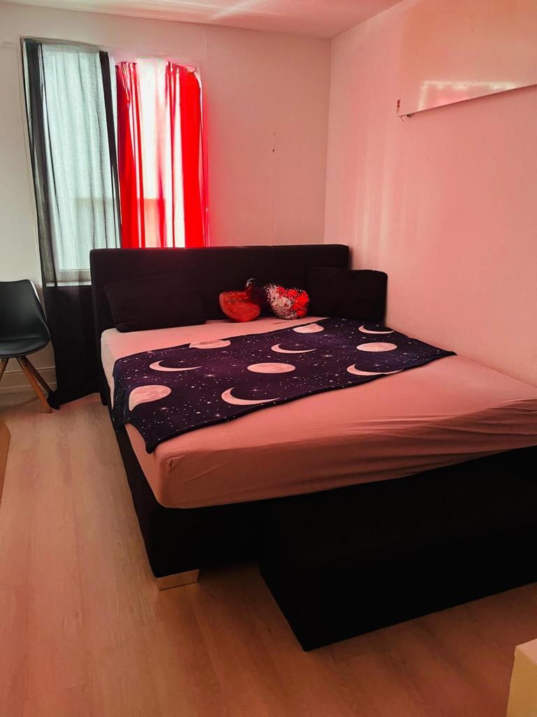 Neu In Basel Bewilligte Zimmer Zum Vermitten - foto