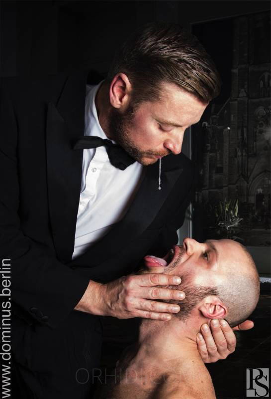 Dominusberlin - foto 4