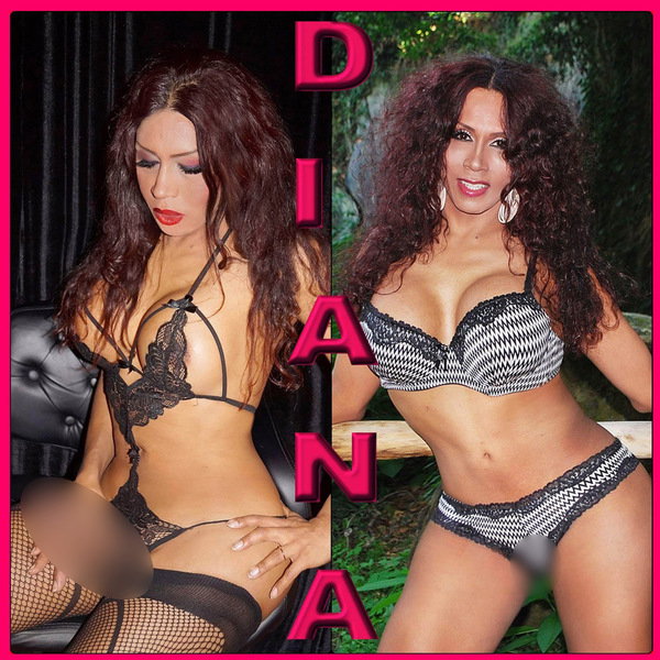 Ts Diana - photo 9