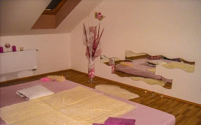 Hanka - photo 7