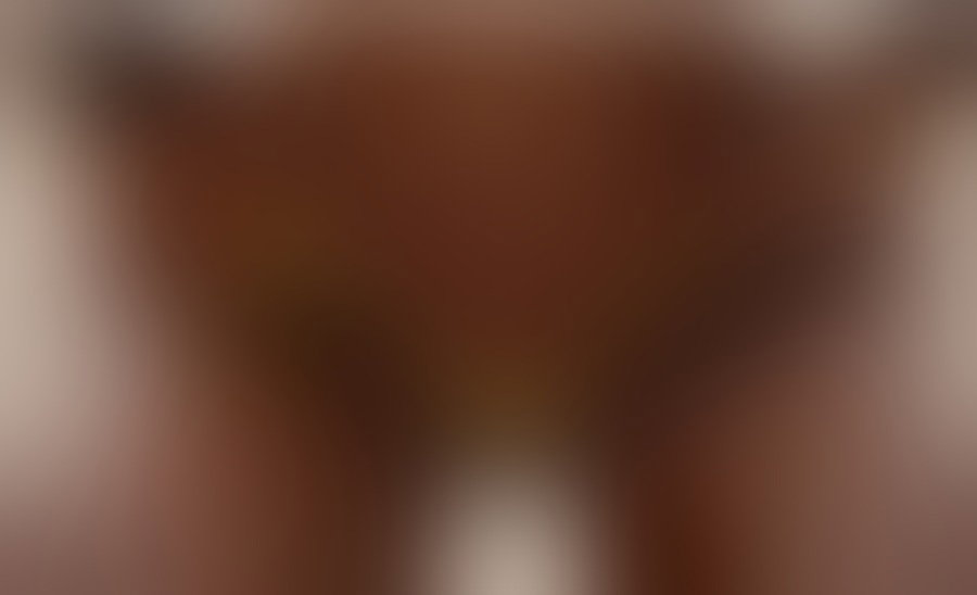 Pandora4 - photo 10