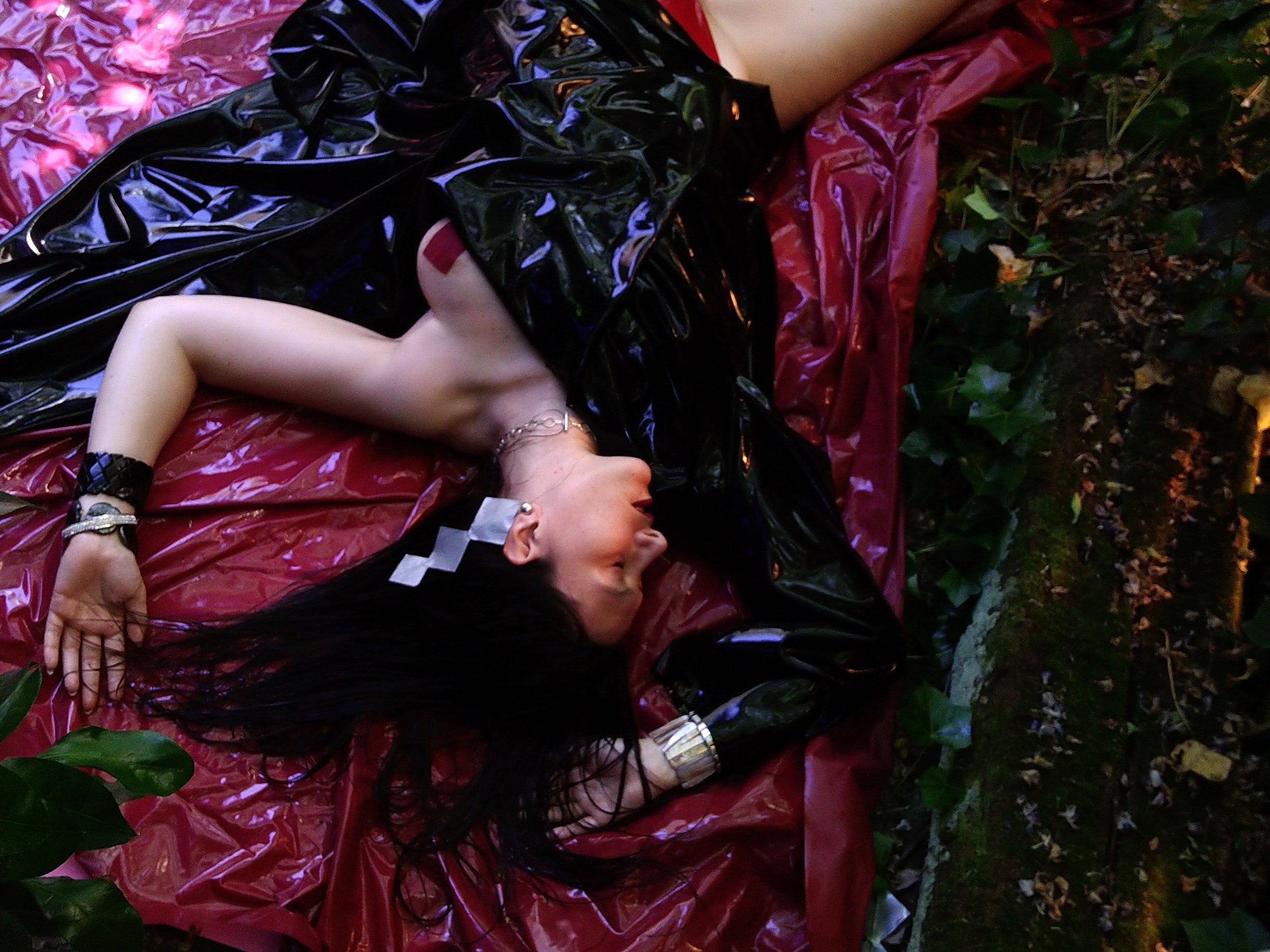 Aloi Raon - photo 28