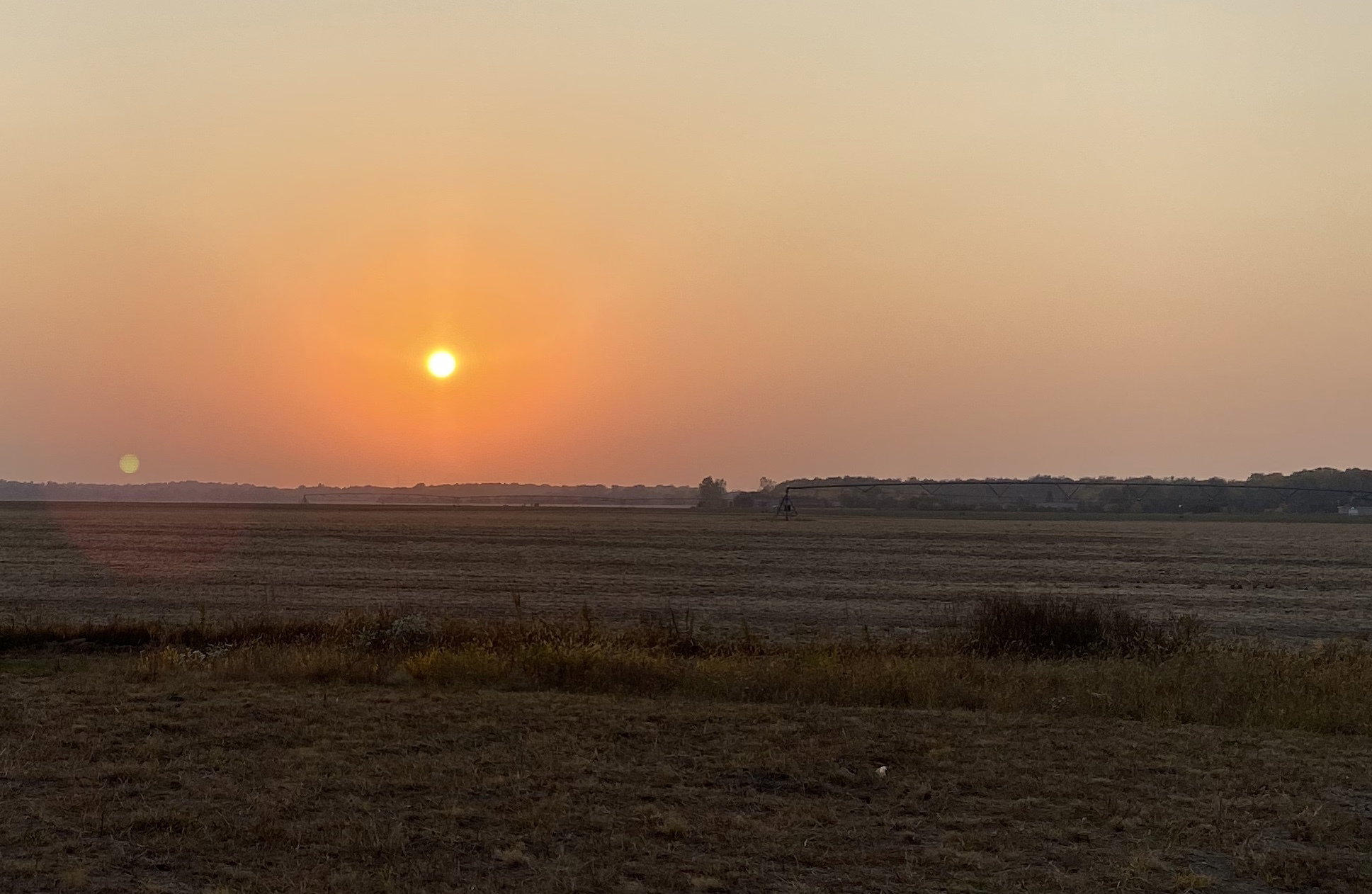 Mazel - photo
