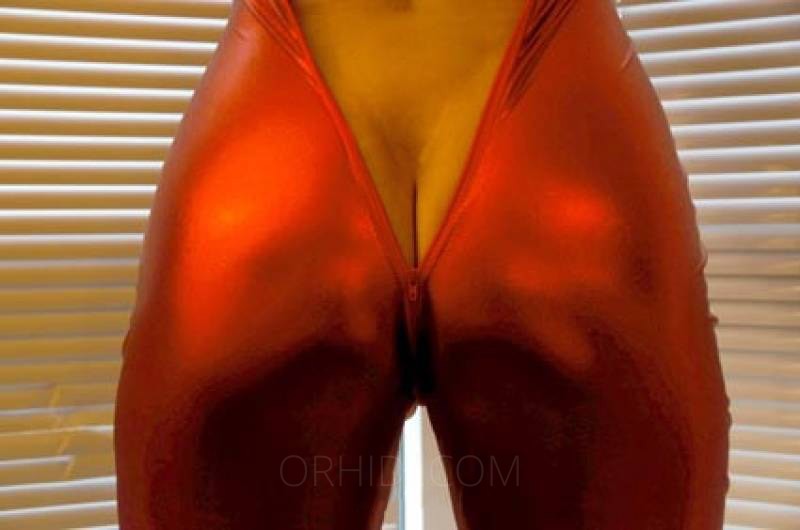 Bille - photo 2