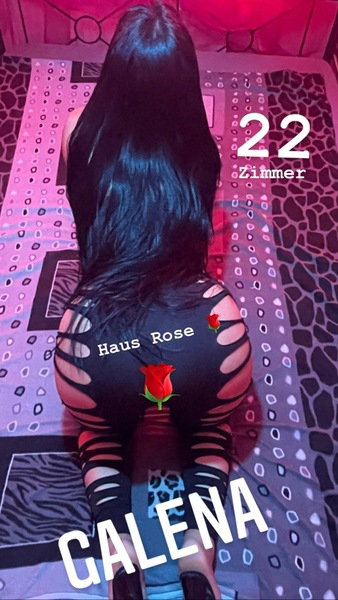 Galena Haus Rose - photo