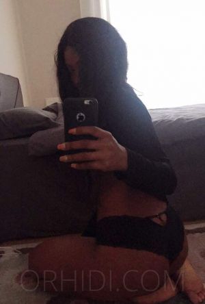Browniesugar - photo