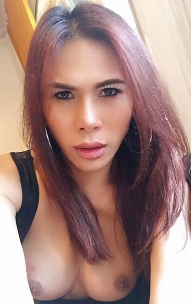 Trans Alisa - foto 4