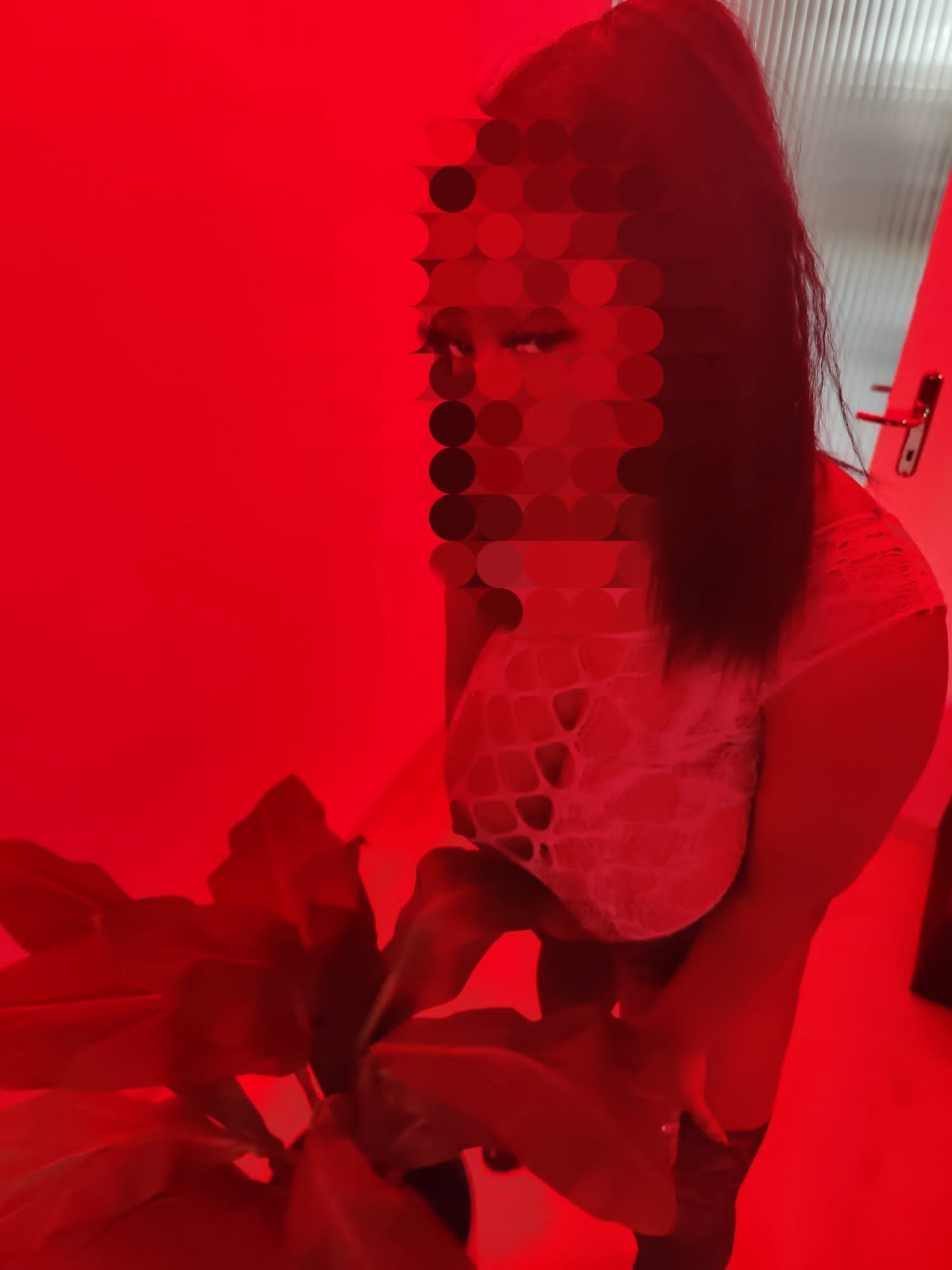 Nabi Escort Und Analsex - foto 10