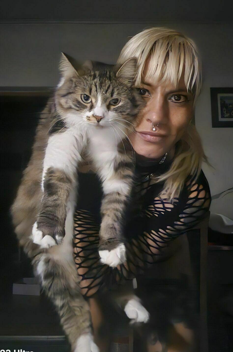 Nilliy - foto 9