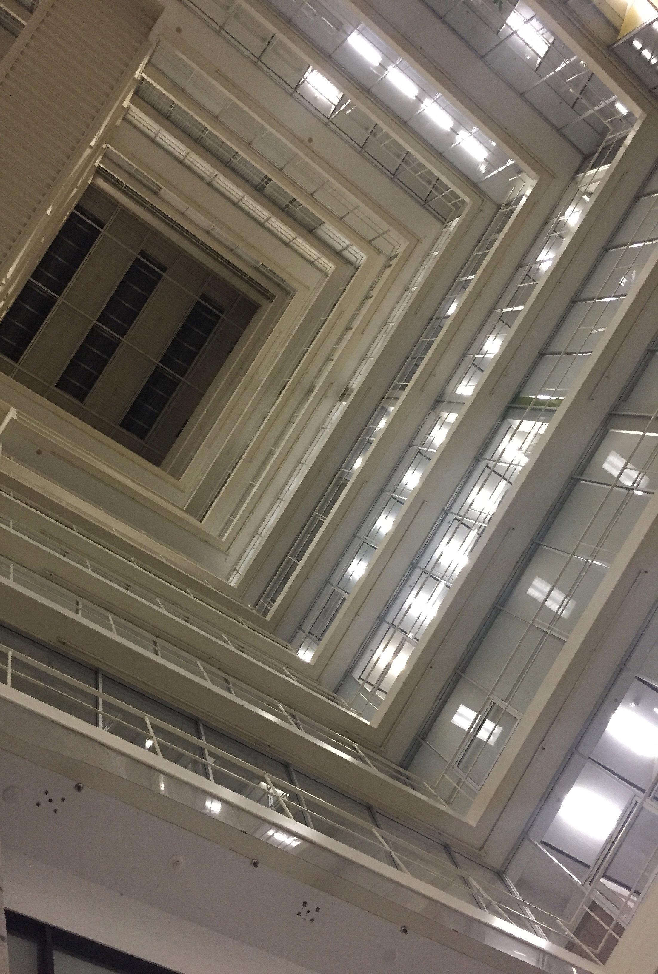 Monika Dlicious - photo