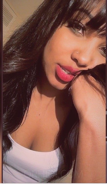 Eliz Ferraz - photo