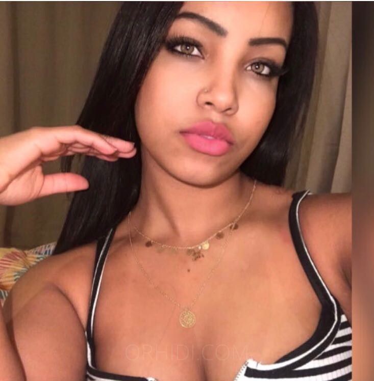 Eliz Ferraz - foto 12