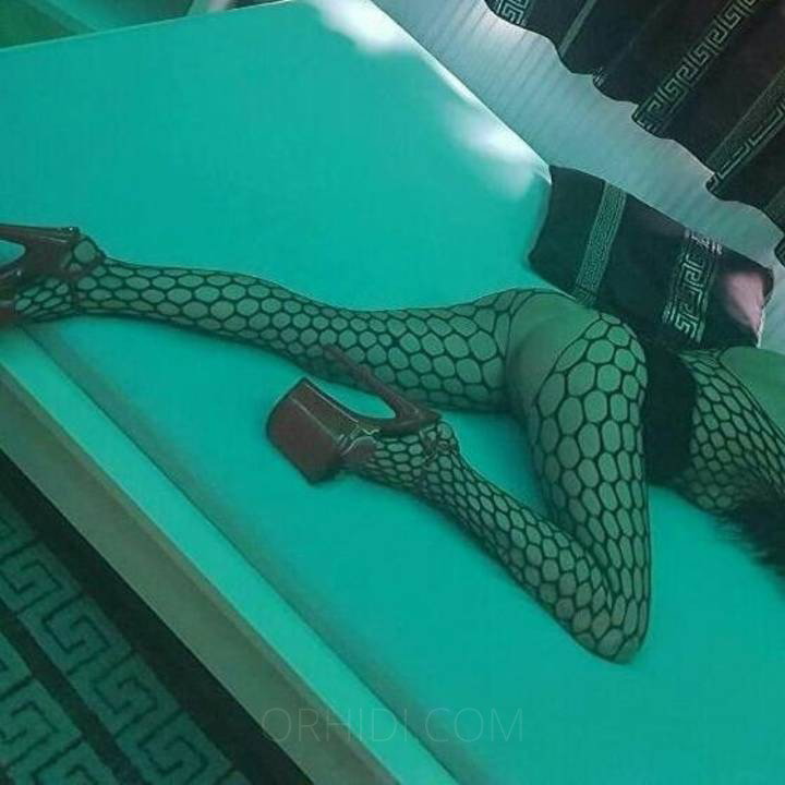 Stella - foto 4