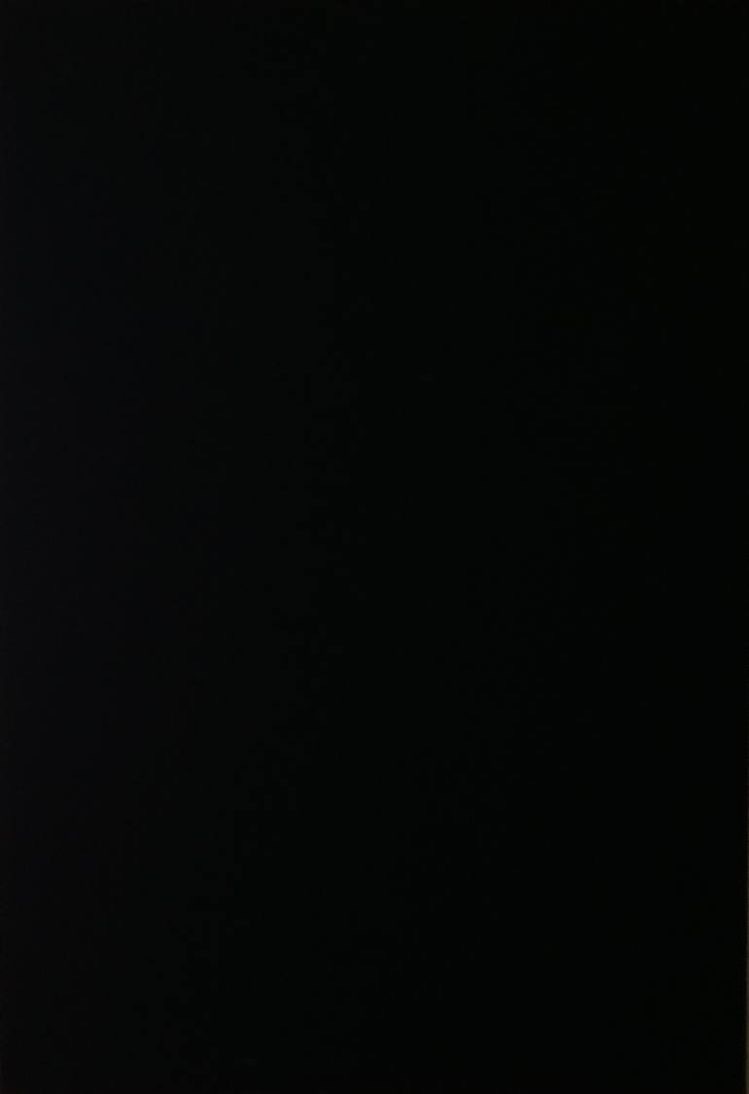 Adelka - foto