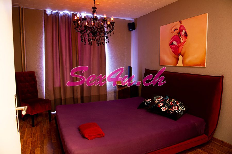 Ank - foto 3
