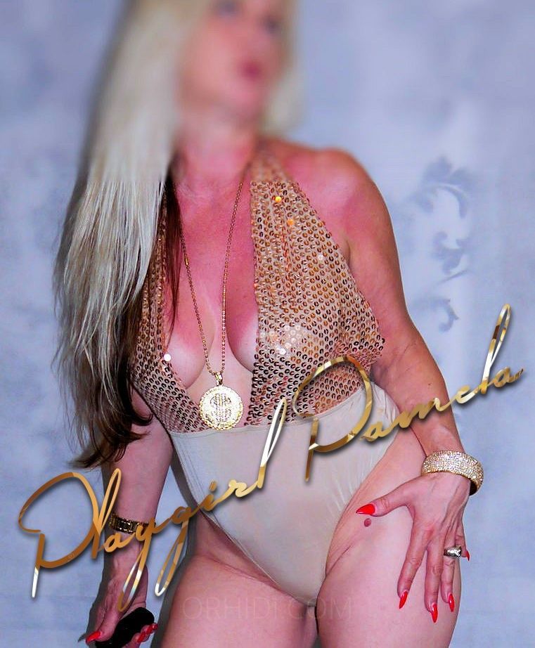 Playgirl Pamela - photo 17