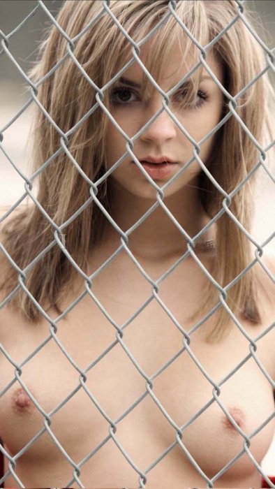 Phoebe - photo