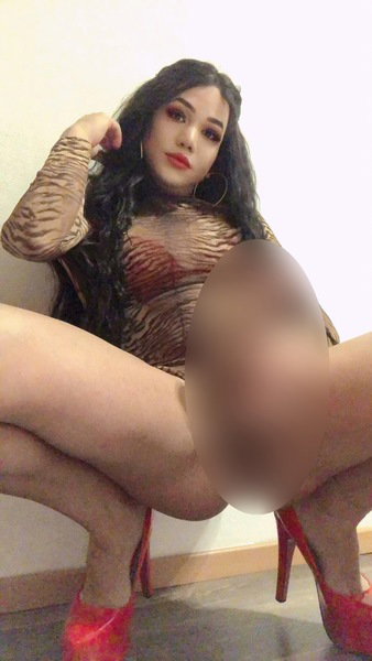 TS Camila - 22X5 - foto