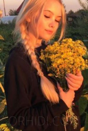 Kamelya - foto 5